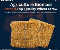 Premium Wheat Straw Options Available on Zarea.pk