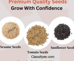 Quality Seeds Available on Zarea Limited