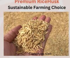 Rice Husk | Available at Zarea Limited